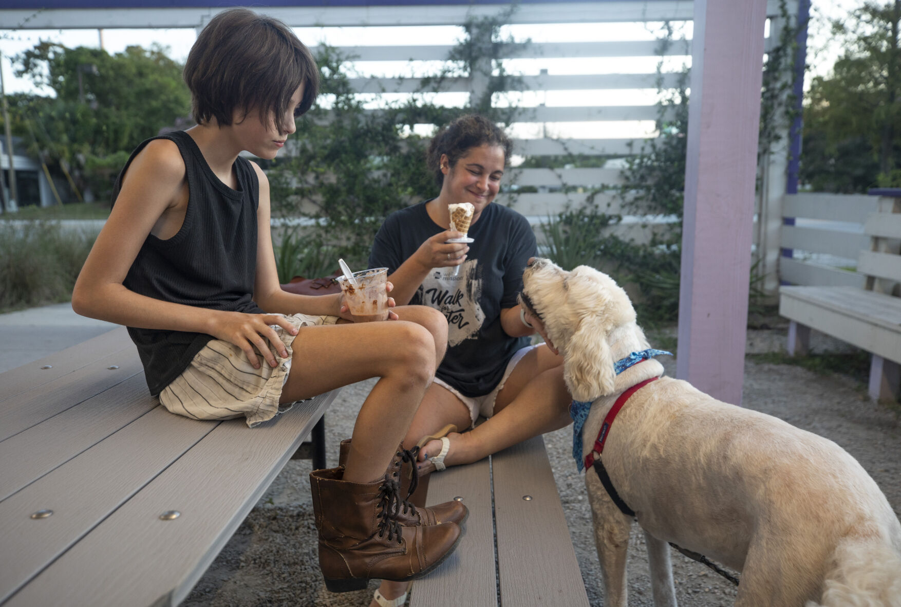 Turbo Cone Family Dog begging.JPG